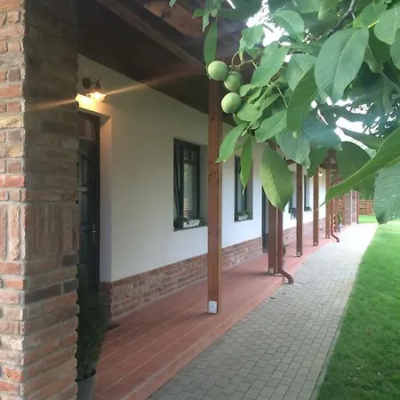 Diofa Vendeghaz