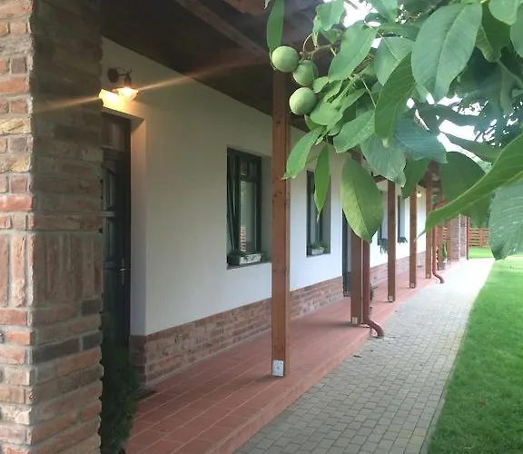 Diofa Vendeghaz