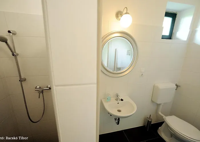 Pensiune Diofa Vendeghaz *